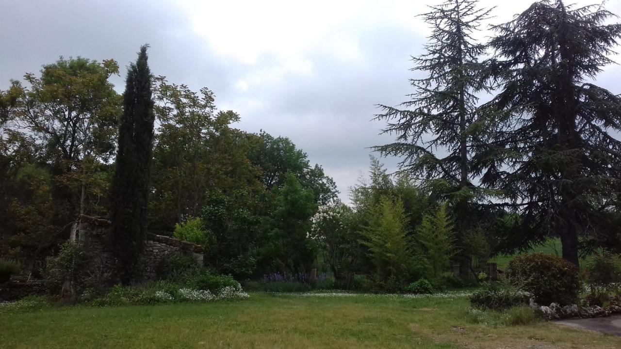 Domaine De Seguela Bed & Breakfast Fargues  Bagian luar foto