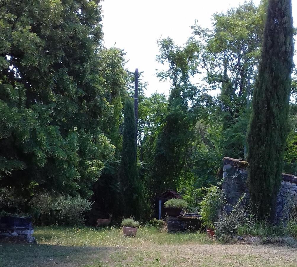 Domaine De Seguela Bed & Breakfast Fargues  Bagian luar foto