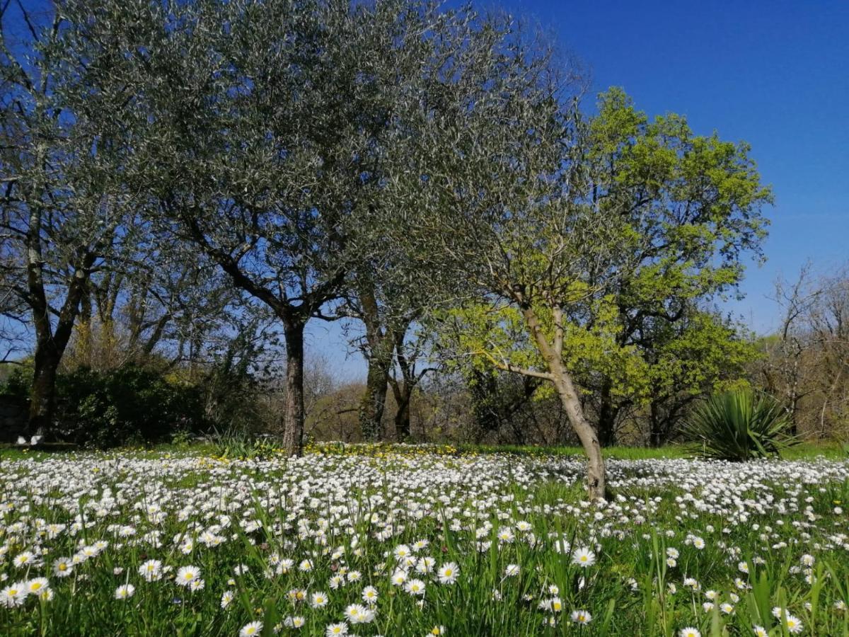 Domaine De Seguela Bed & Breakfast Fargues  Bagian luar foto