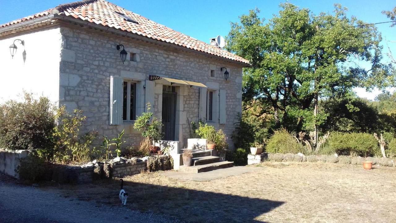 Domaine De Seguela Bed & Breakfast Fargues  Bagian luar foto